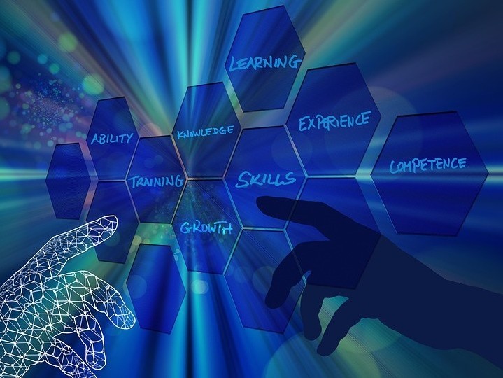 IT Consulting and Support